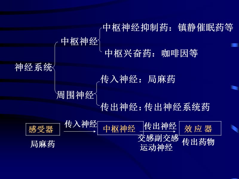 去甲肾上腺素PPT课件.ppt_第2页