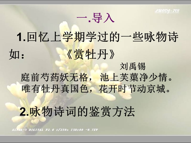 鹧鸪天ppt课件(22张).ppt_第3页