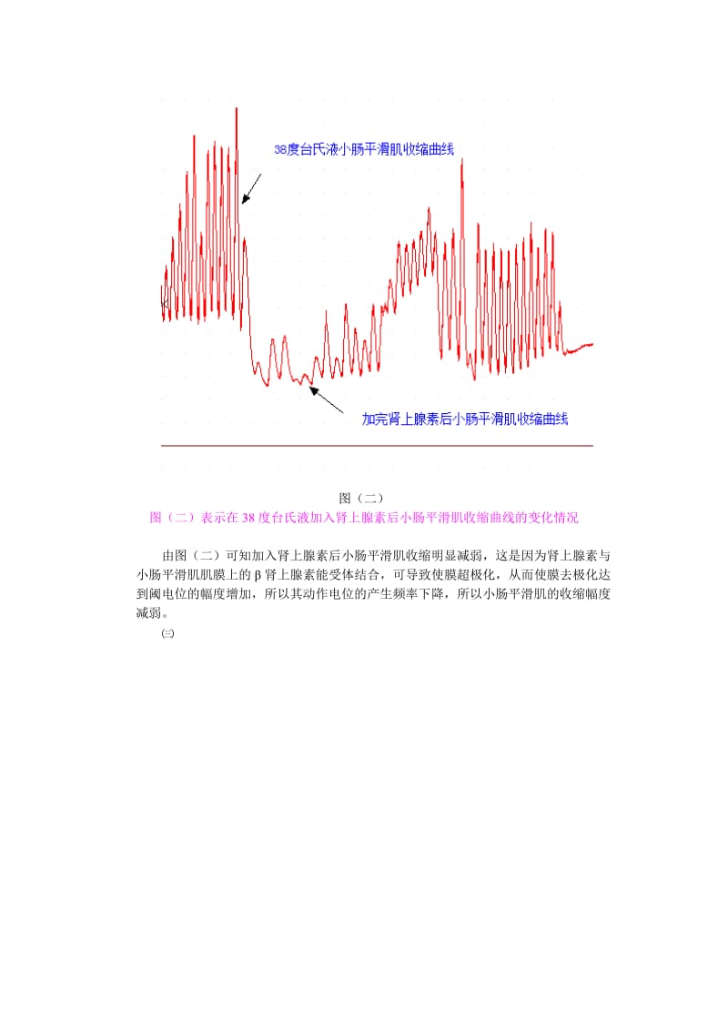 离体小肠平滑肌的生理特性及药物作用观察实验报告.doc_第2页