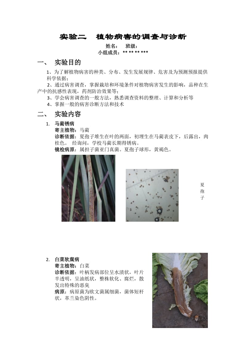 植物病理学实验课程作业—植物病害调查与诊断报告.doc_第1页