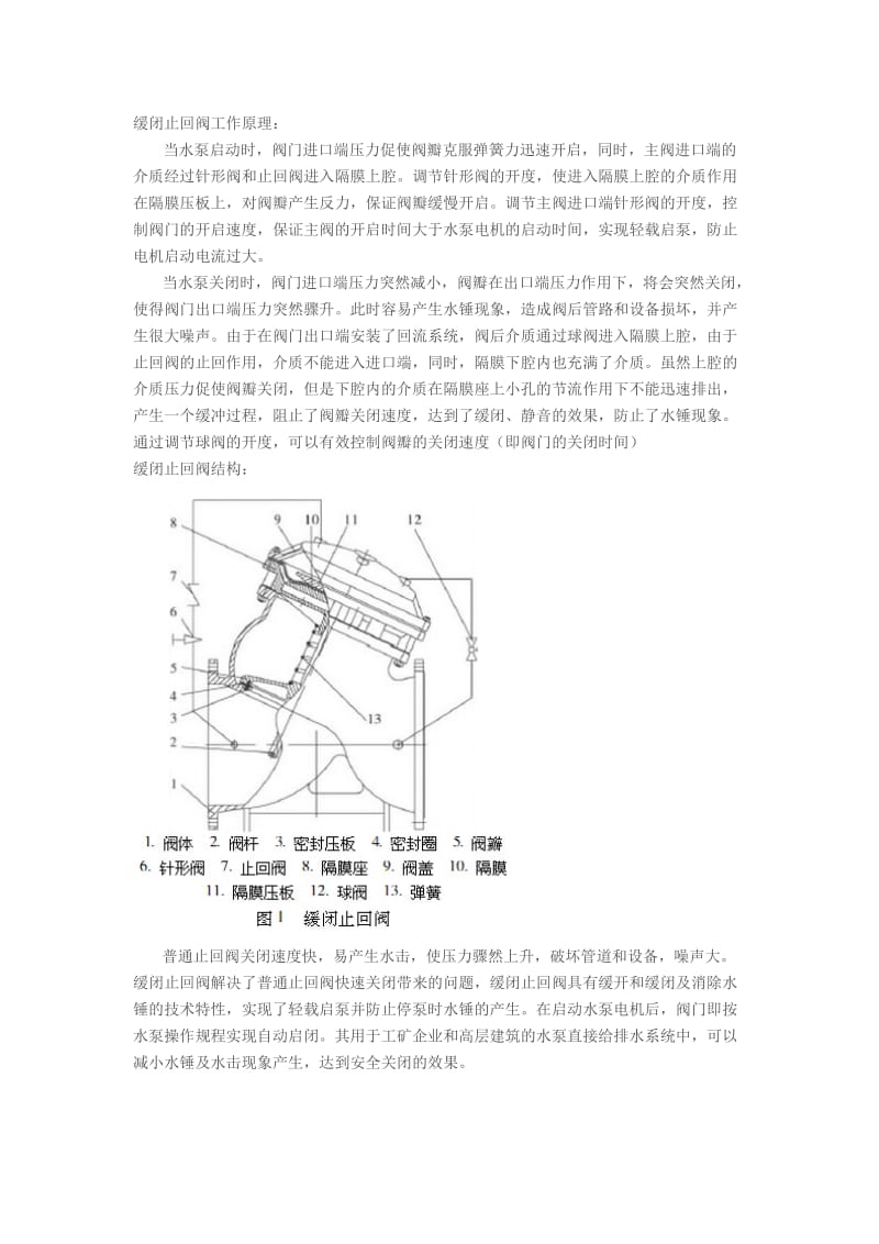 缓闭止回阀工作原理.doc_第1页