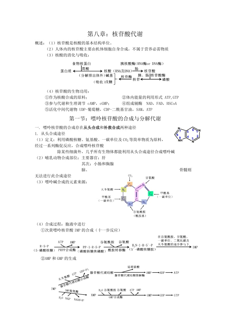 核苷酸代谢总结.doc_第1页