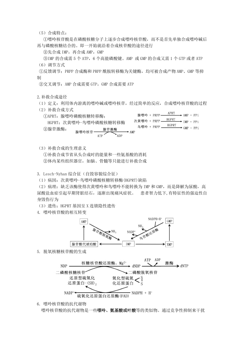 核苷酸代谢总结.doc_第2页