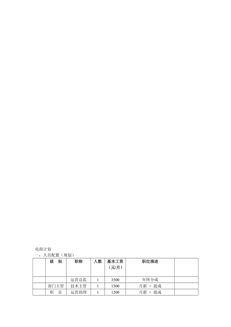 电商计划.doc_第1页