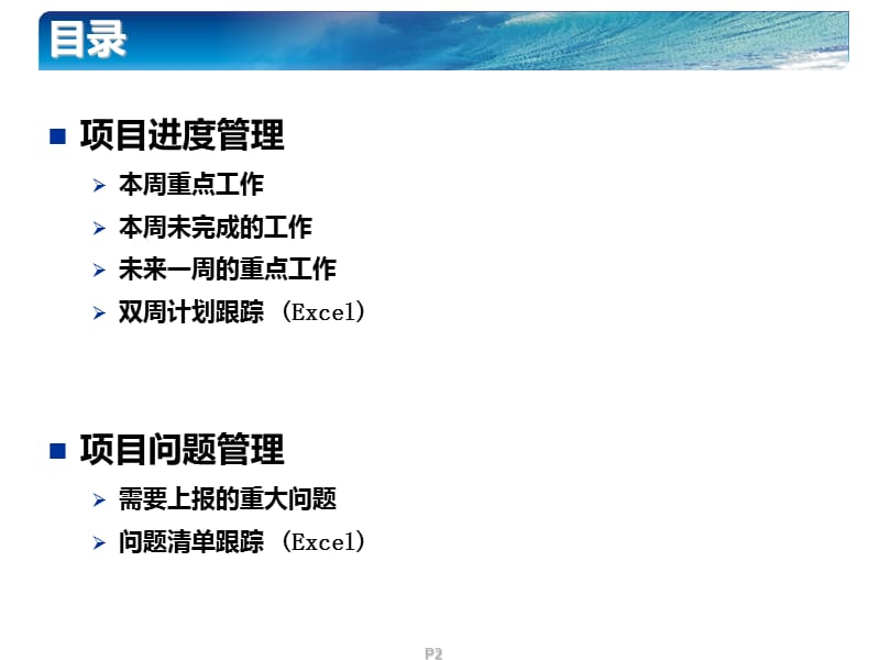 项目周工作总结模板.ppt_第2页