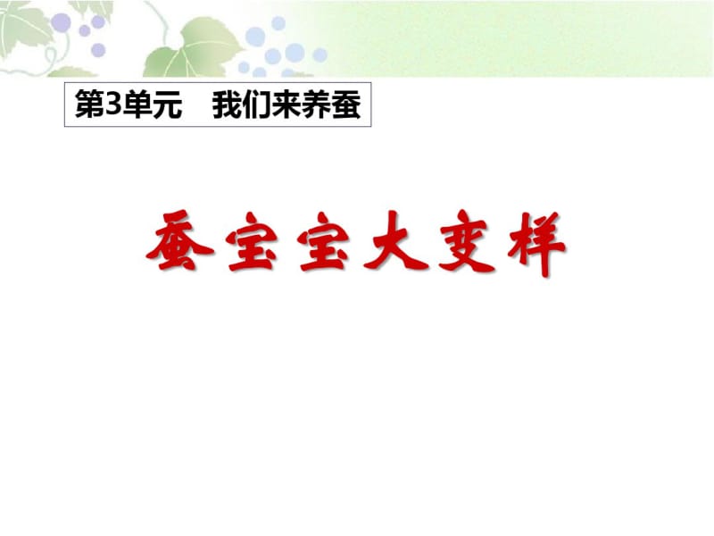 《蚕宝宝大变样》我们来养蚕PPT课件.pdf_第1页