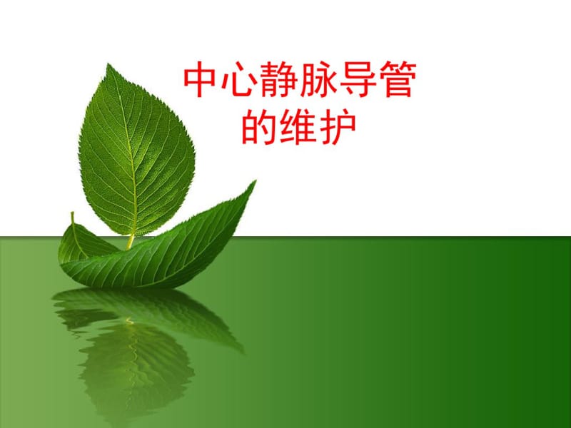 中心静脉导管的护理规范.pdf_第1页