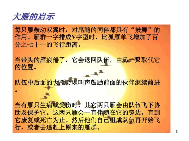 团队精神课件.pdf_第3页