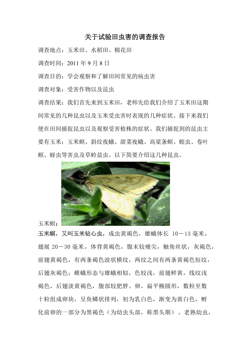 昆虫调查报告刘晓东.doc_第1页