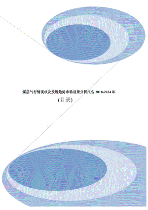 煤层气市场分析调查及投资前景行业报告2020目录.doc