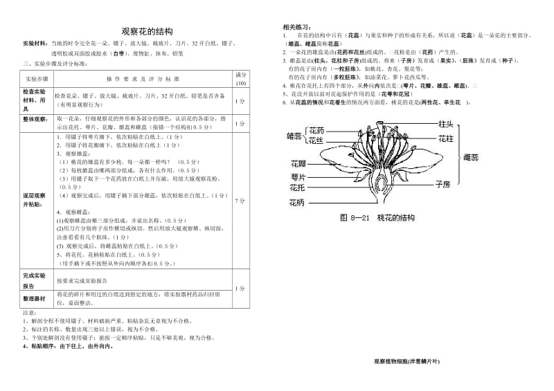 观察花的结构.doc_第1页