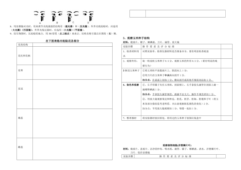 观察花的结构.doc_第3页