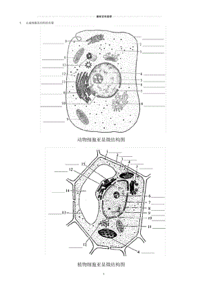 高中生物动植物细胞模式图及细胞结构的比较.docx