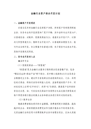 金融行业客户综合开发计划.doc