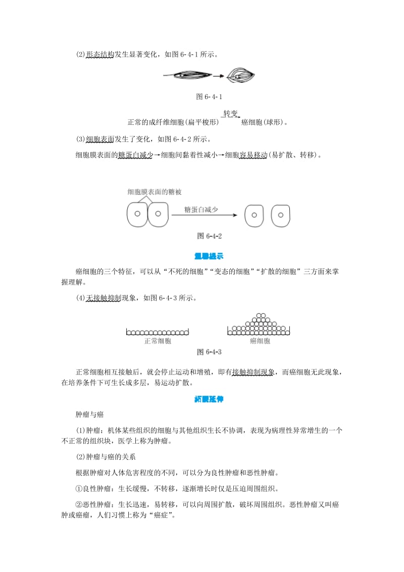 高中生物 第6章 第4节 细胞的癌变学案 新人教版必修1.doc_第2页