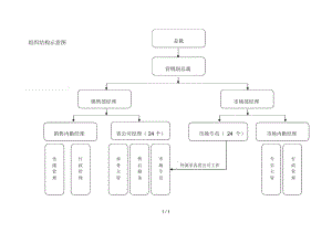 新飞项目组织结构示意图.docx