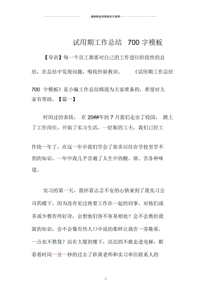 试用期精编工作总结700字模板.docx