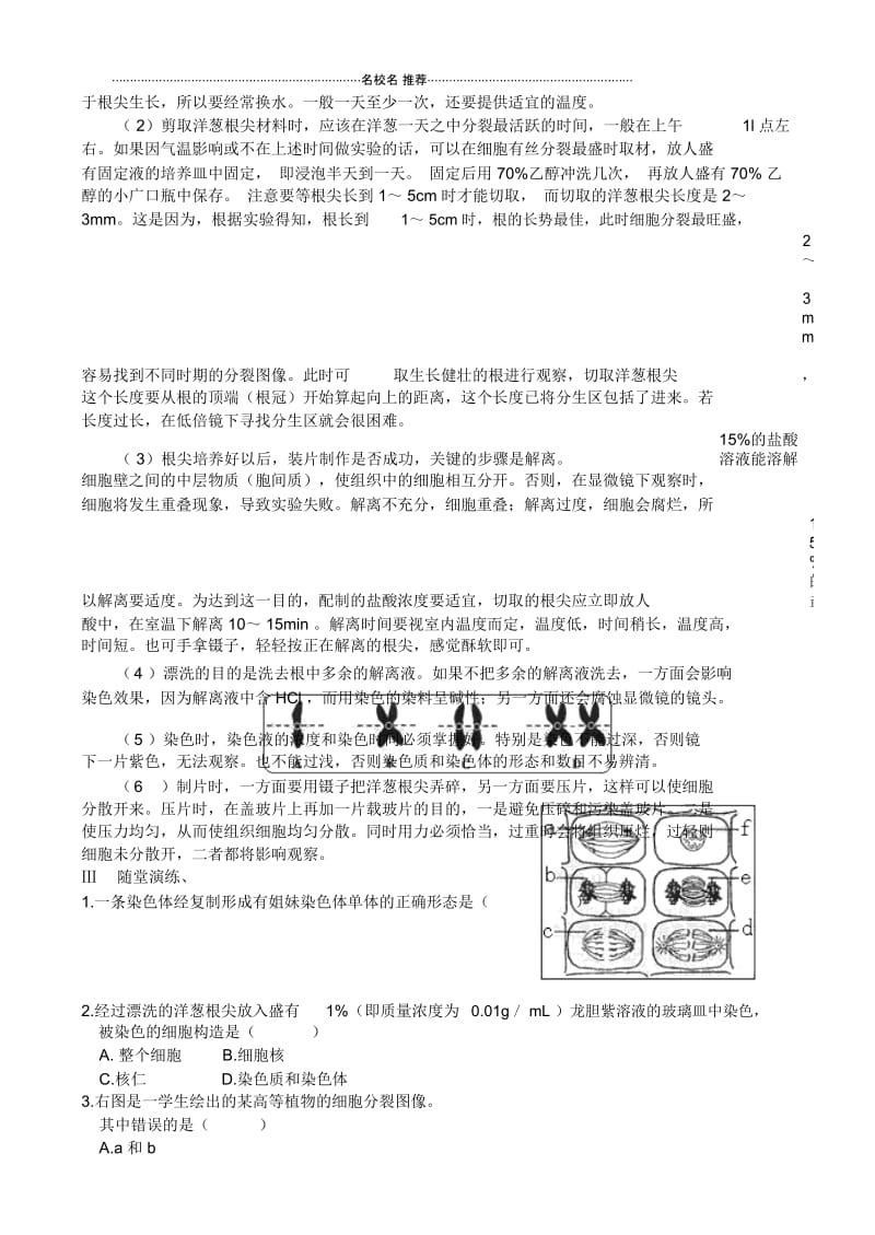 高二生物实验三观察植物细胞的有丝分裂名师精选教案人教版.docx_第2页