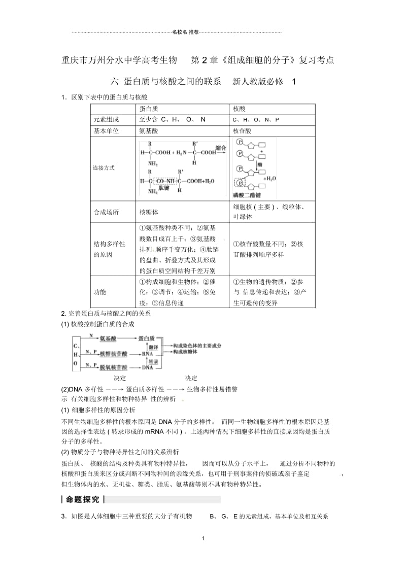 重庆市万州分水中学高考生物第2章《组成细胞的分子》复习考点六蛋白质与核酸之间的联系新人教版必修1精.docx_第1页