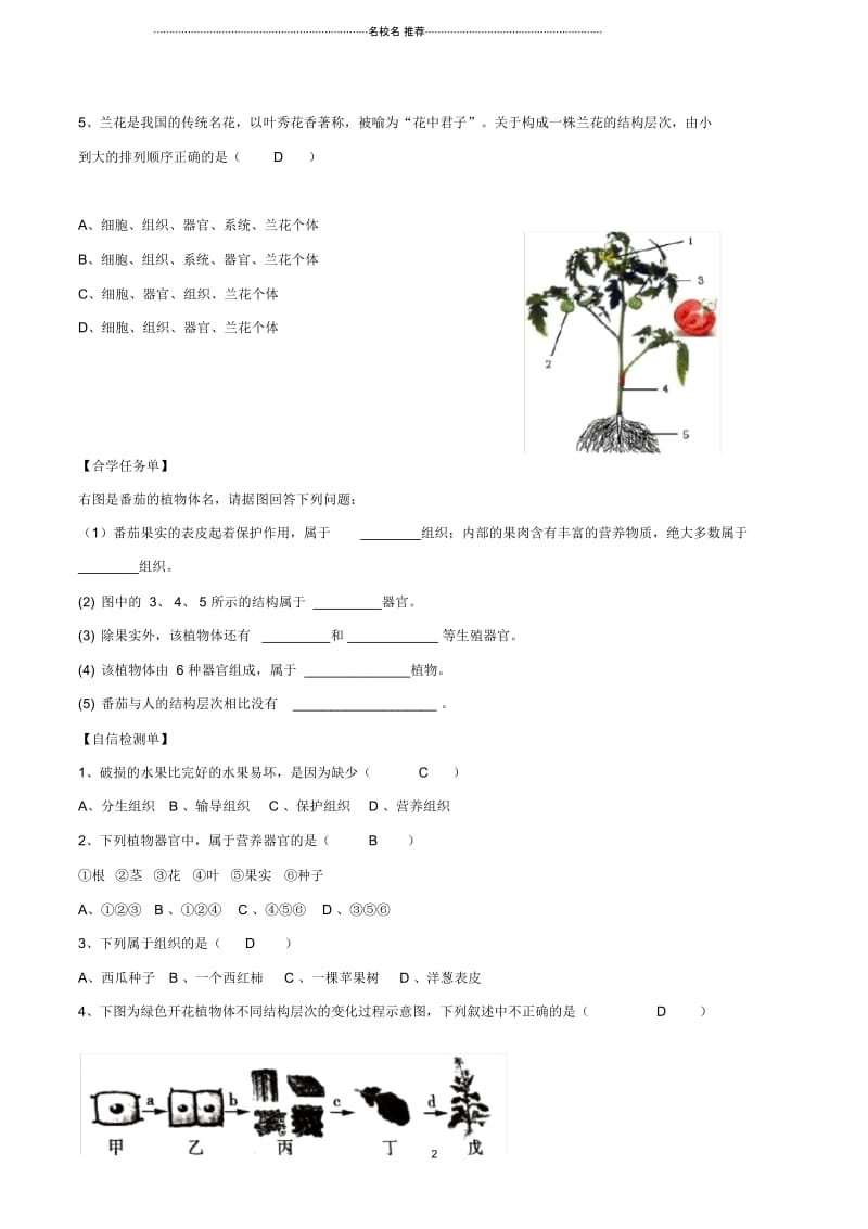 初中七年级生物上册2.2.3植物体的结构层次名师精编导学案答案不全新版新人教版.docx_第2页