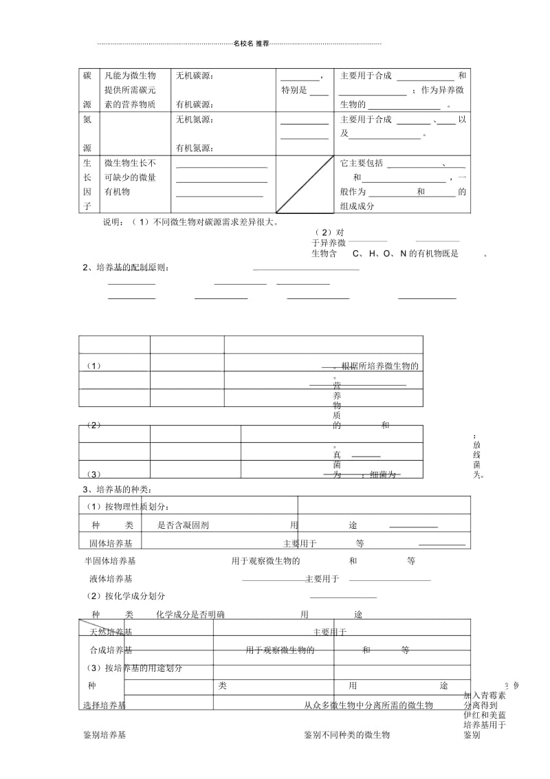 高考生物基础冲刺微生物的类群复习名师精选教案.docx_第2页