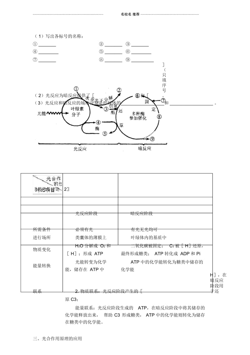 高中生物能量之源──光与光合作用人教版必修一.docx_第3页