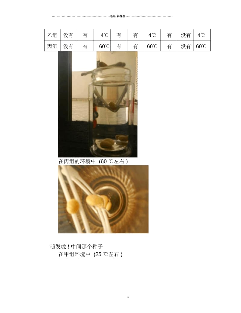 绿豆种子发芽的对比实验.docx_第3页