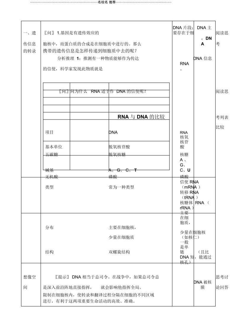 第四章基因的表达第1节基因指导蛋白质的合成.docx_第2页