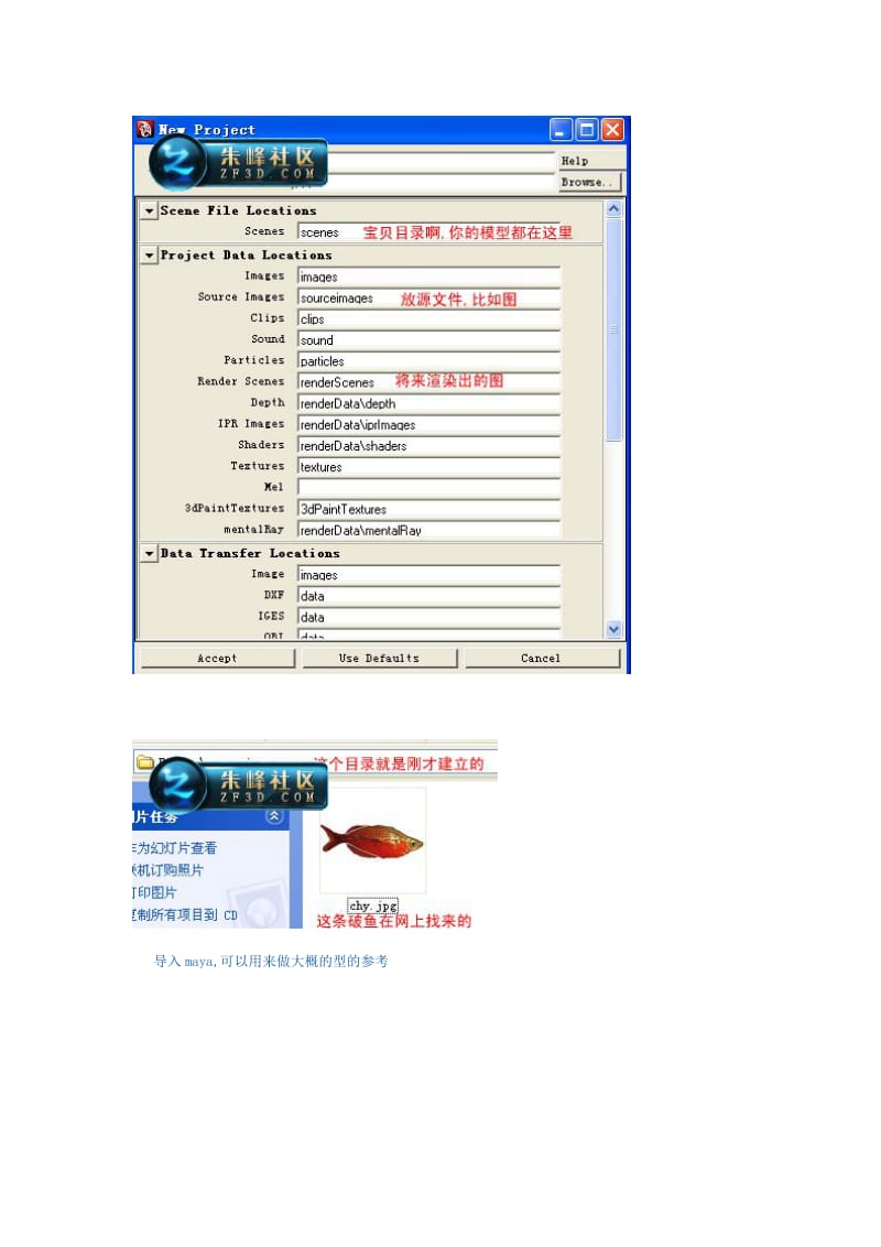 maya教程鱼的模型建立及彩虹贴图.doc_第2页