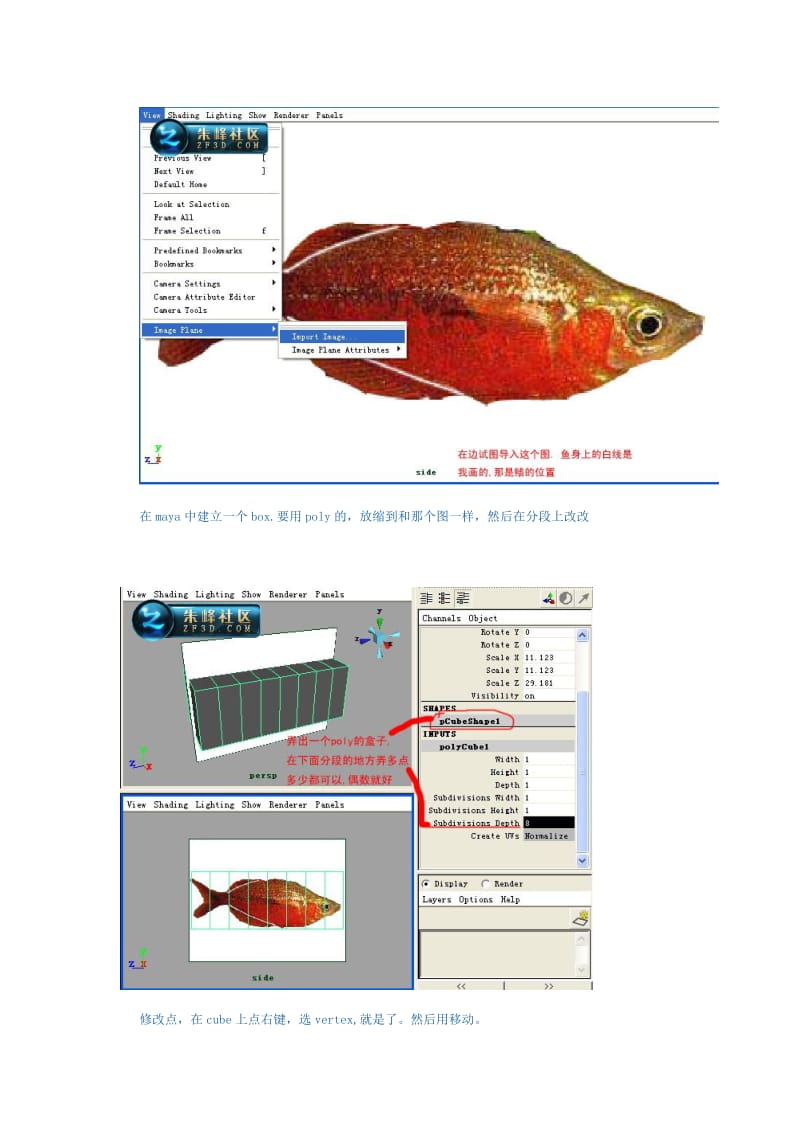 maya教程鱼的模型建立及彩虹贴图.doc_第3页