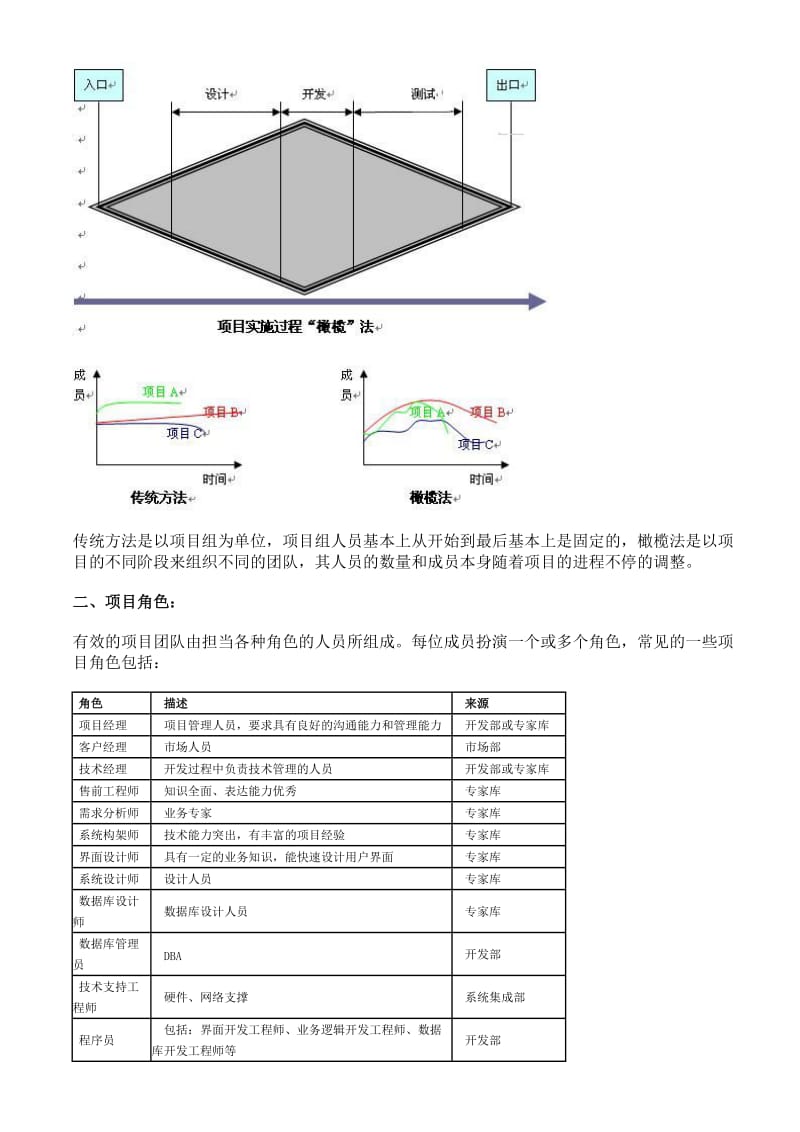 it企业项目团队组建和实施流程管理.doc_第2页