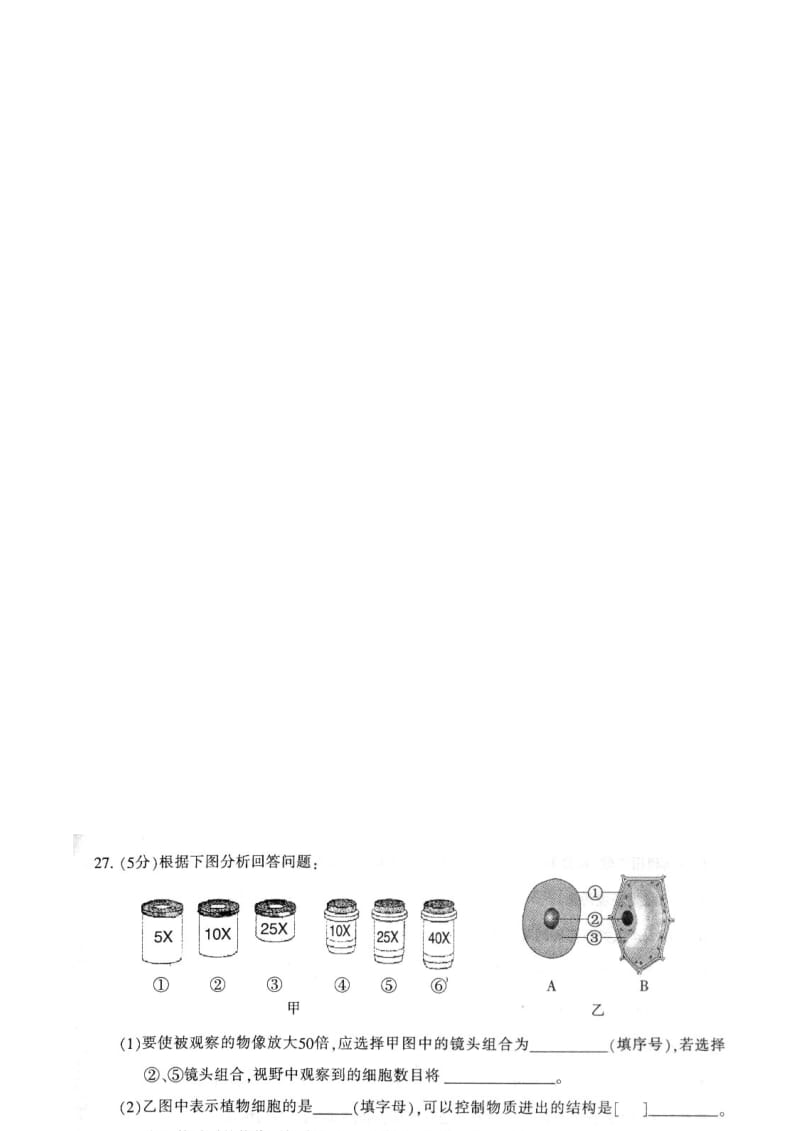 中考生物模拟题2无答案新人教版.doc_第3页