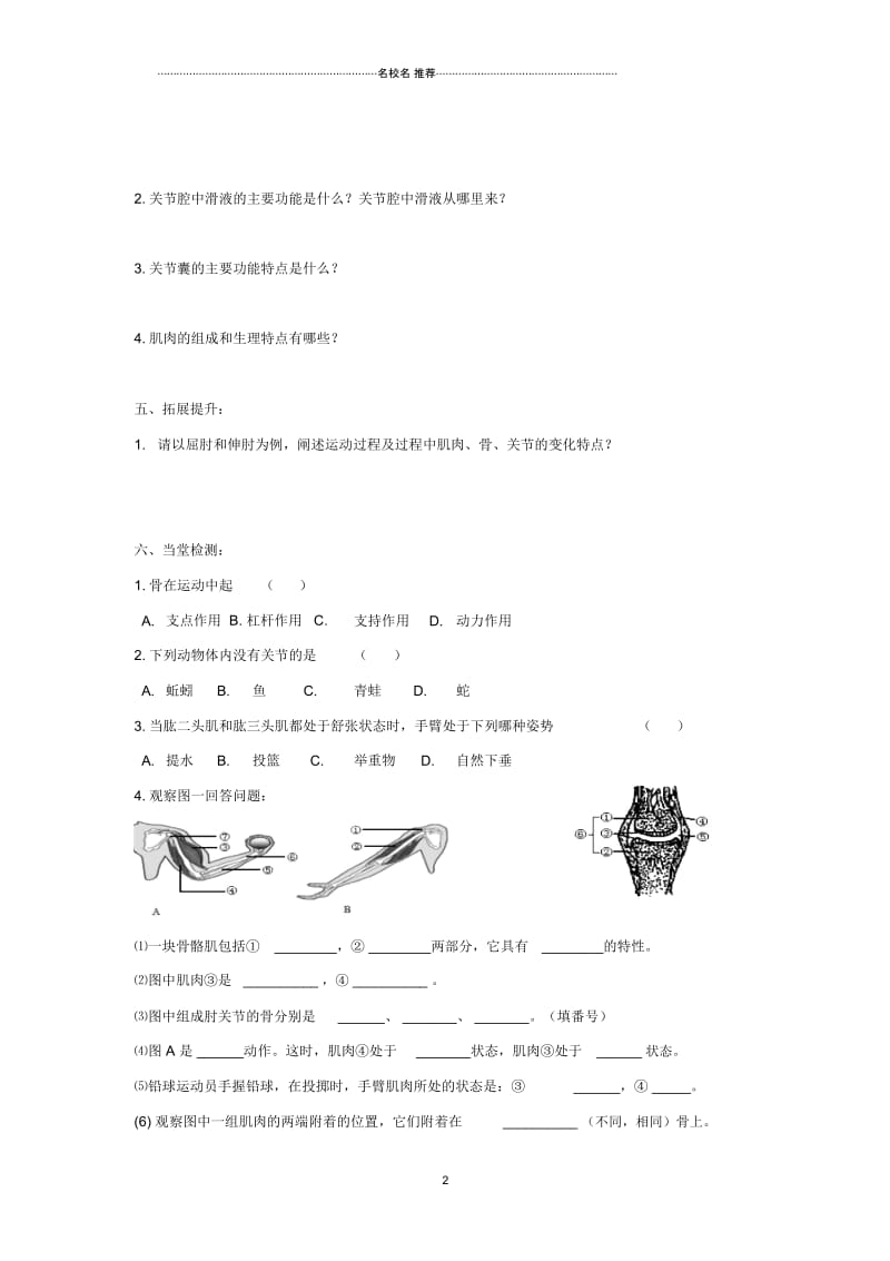 八年级生物上册5.2.1动物的运动名师精编导学案2无答案新版新人教版.docx_第2页