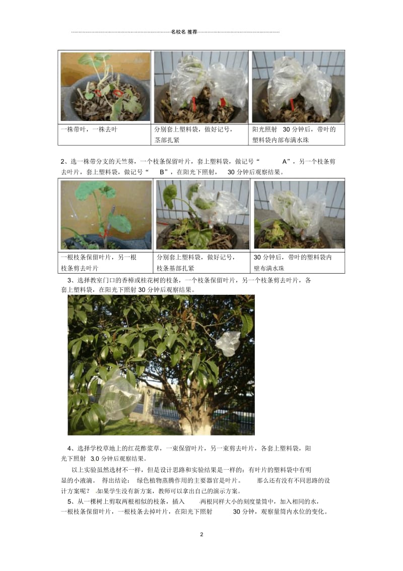 江西省信丰县黄泥中学中考生物实验汇总复习探究绿色植物蒸腾作用的器官是叶片吗名师精选教学设计.docx_第2页