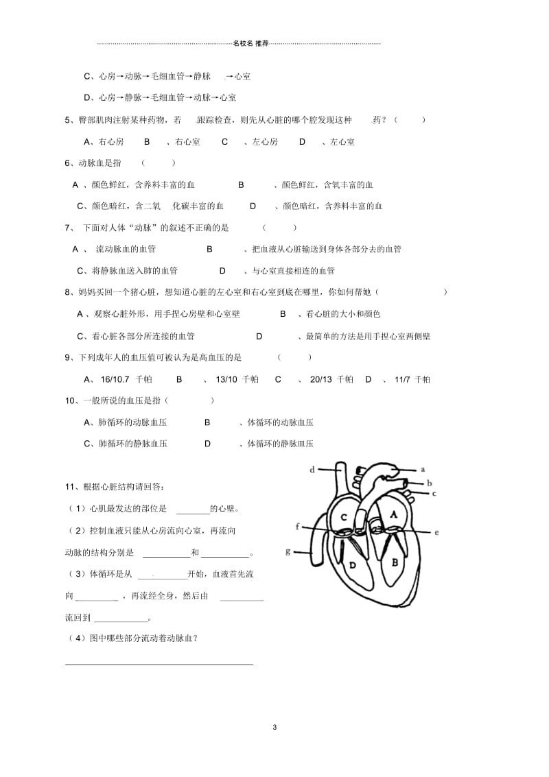 重庆市初中七年级生物下册4.3输送血液的泵---心脏名师精编学案2(无答案)(新版)新人教版.docx_第3页