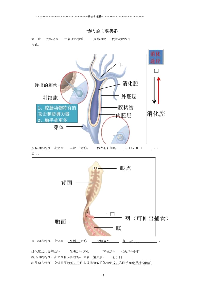 湖北省武汉市北大附中初中八年级生物上册《5.1动物的主要类群》名师精选教案新人教版.docx_第1页