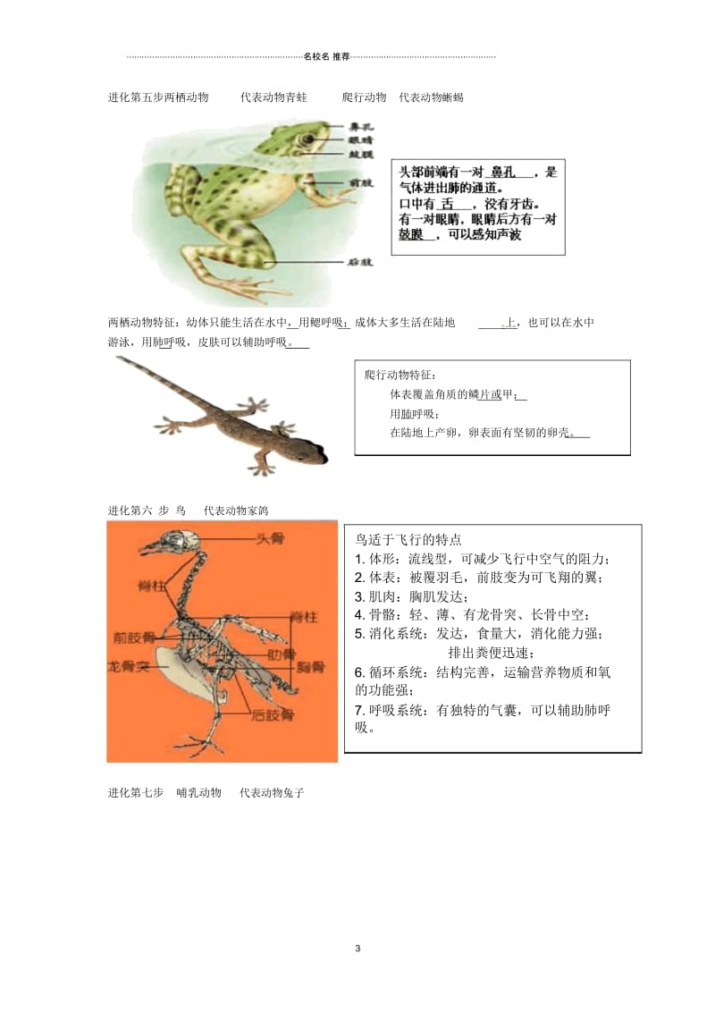 湖北省武汉市北大附中初中八年级生物上册《5.1动物的主要类群》名师精选教案新人教版.docx_第3页