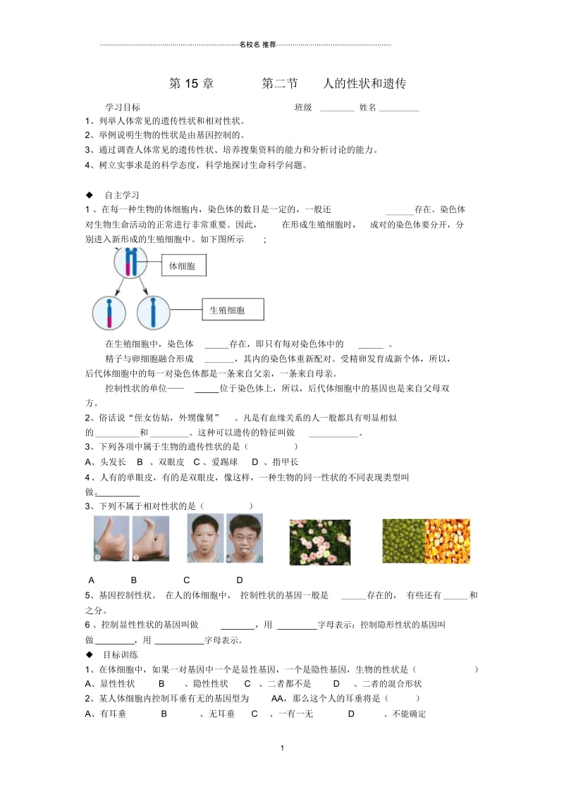 八年级生物上册第15章第二节人的性状和遗传名师精编学案(无答案)上教版.docx_第1页