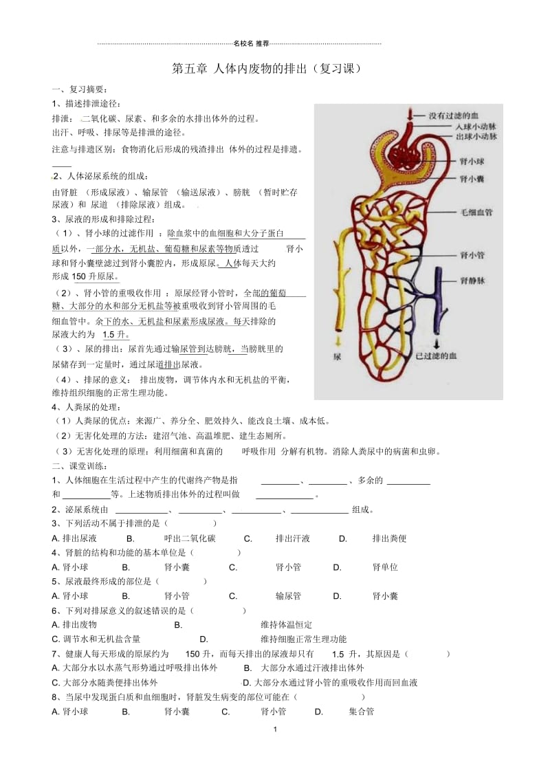 湖南省郴州市第八中学初中七年级生物下册第四单元第五章人体内废物的排出复习名师精编学案(无答案)(.docx_第1页