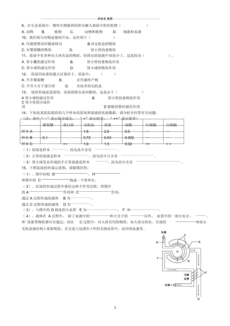 湖南省郴州市第八中学初中七年级生物下册第四单元第五章人体内废物的排出复习名师精编学案(无答案)(.docx_第2页