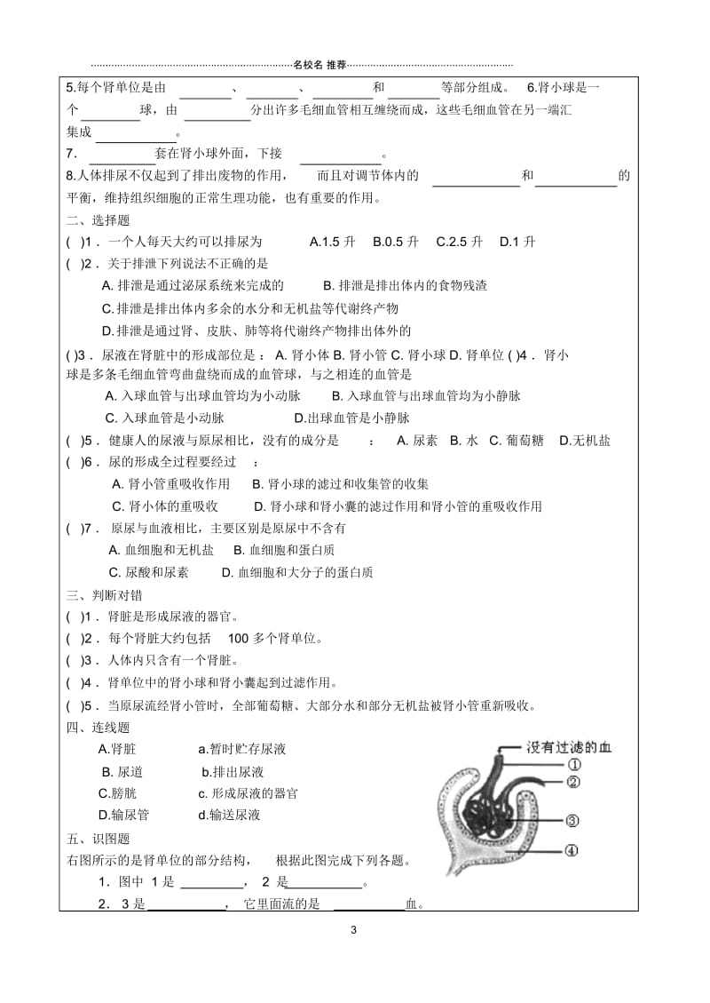 第五章人体内废物的排出预习名师精编学案.docx_第3页