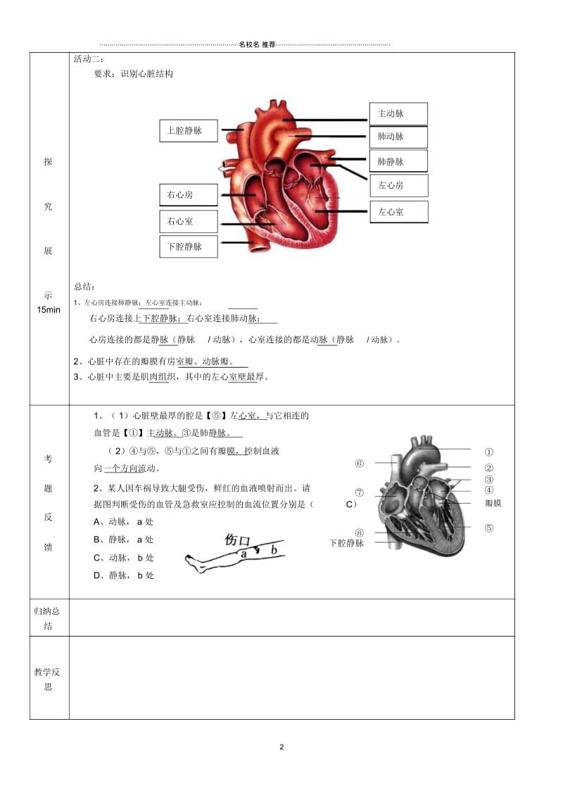 初中七年级生物下册10.2人体的血液循环(第1课时)名师精编学案(新版)苏教版.docx_第2页