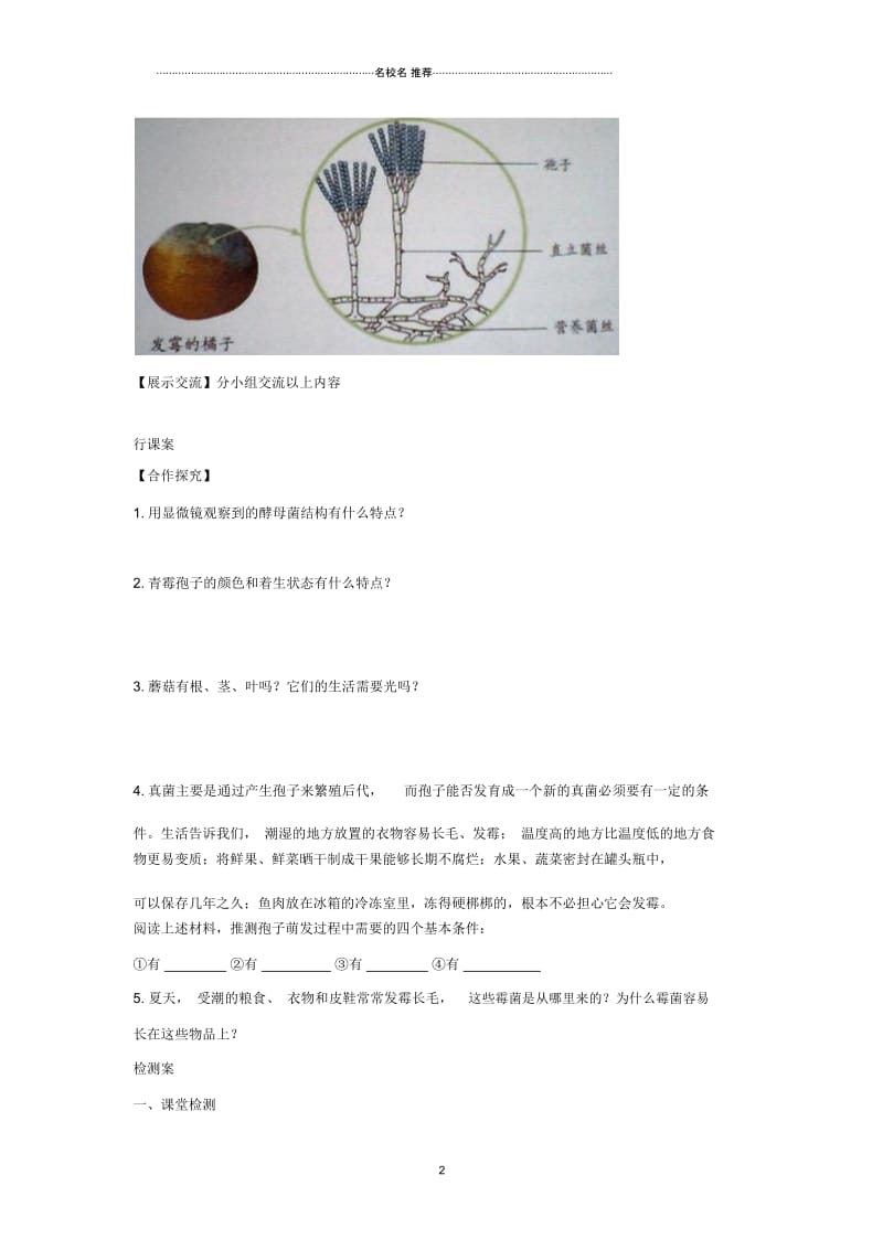 八年级生物上册5.4.3真菌名师精编导学案2无答案新版新人教版.docx_第2页