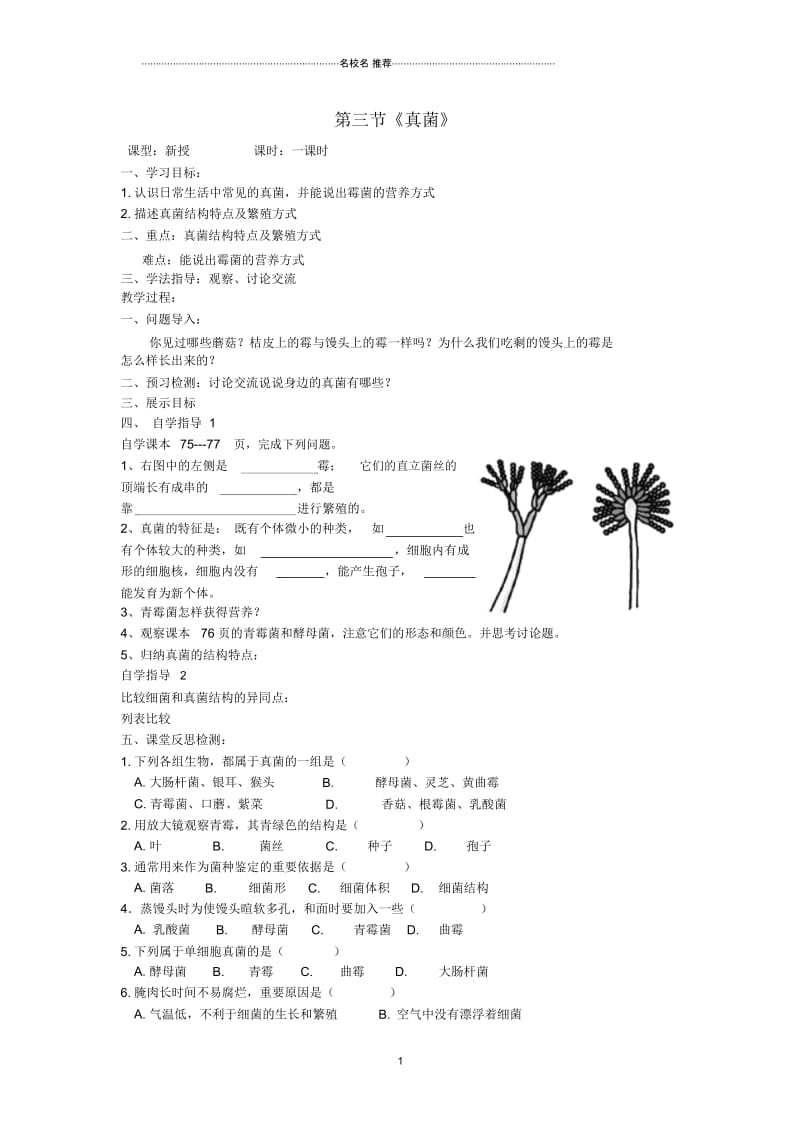 八年级生物上册第三节真菌名师精编学案(无答案)新人教版.docx_第1页