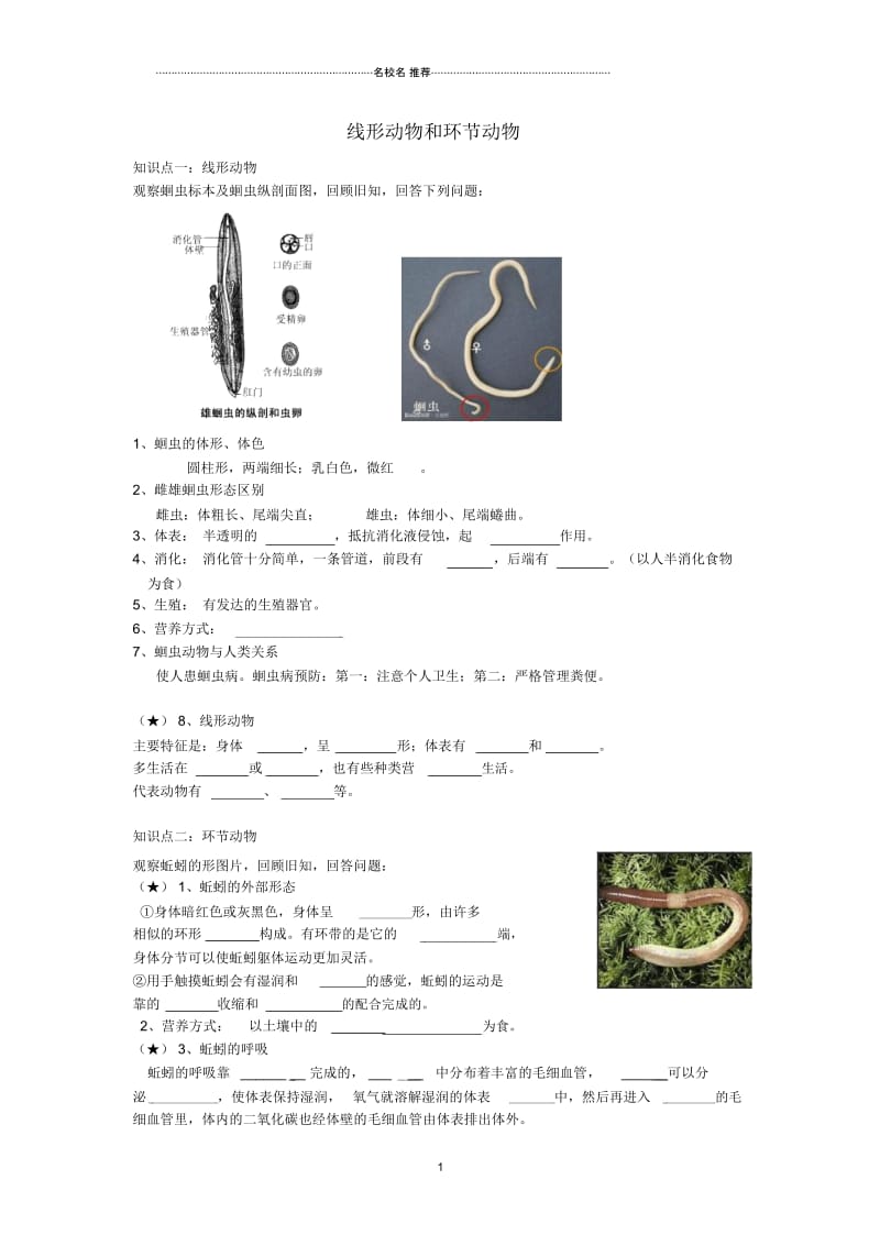 八年级生物上册第五章第二节线形动物和环节动物名师精编学案(无答案)(新版)新人教版.docx_第1页