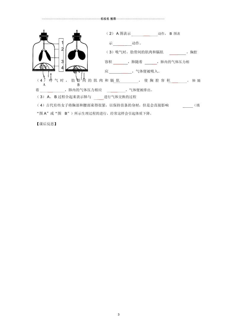 春初中七年级生物下册第四单元第三章第二节发生在肺内的气体交换名师精编学案(无答案)(新版)新人教.docx_第3页