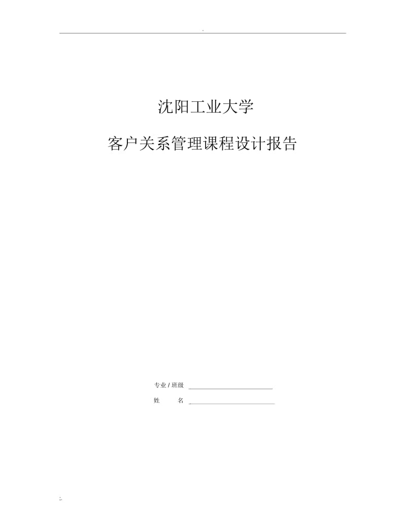 客户关系管理课程设计报告要求.docx_第2页