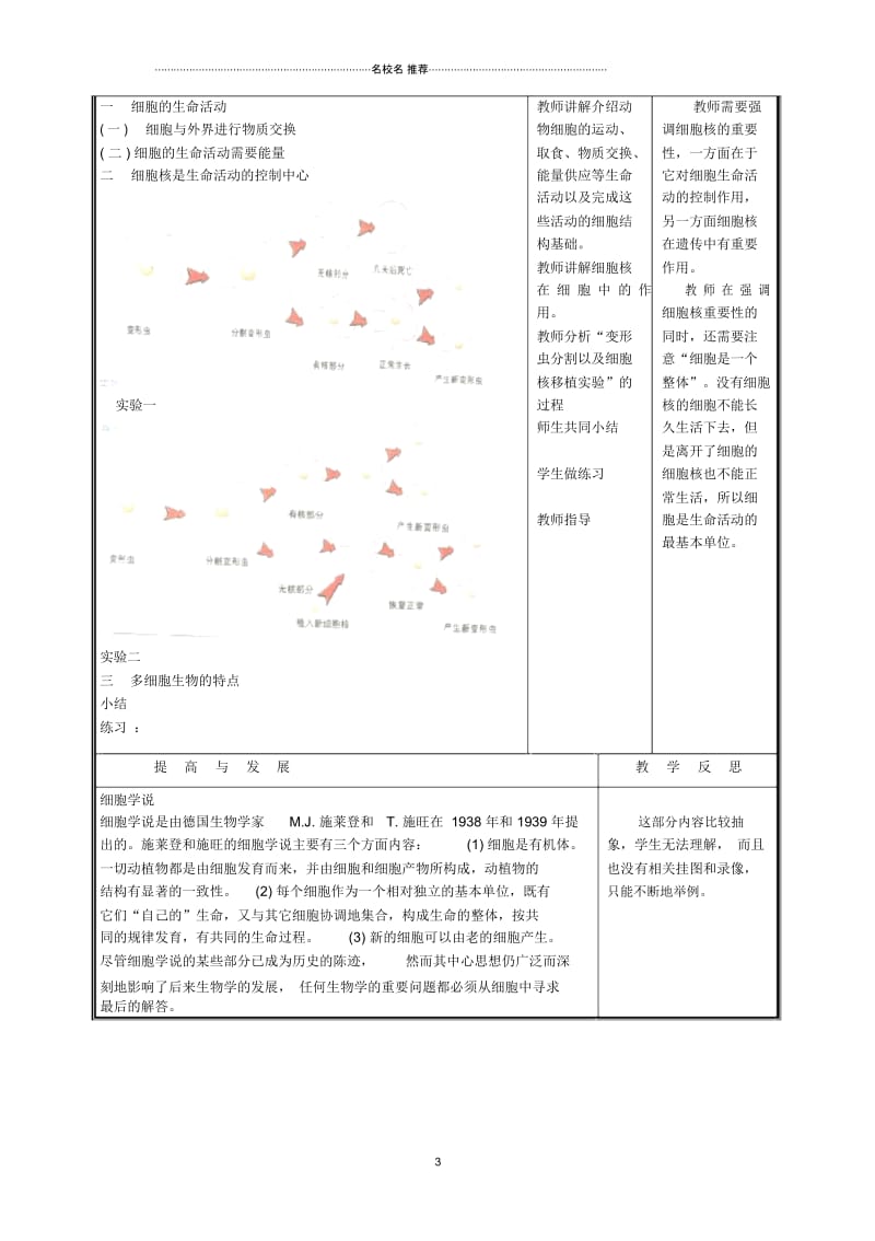 初中七年级生物上册《细胞是生命生命活动的单位》名师精选教案2北师大版.docx_第3页