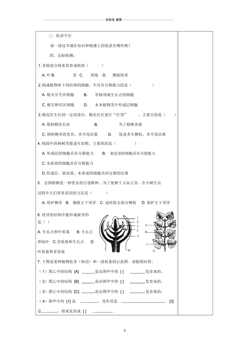 山东省庆云县八年级生物上册4.1.6《芽的类型和结构》名师精编学案(无答案)济南版.docx_第3页