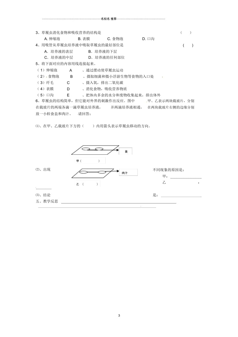 辽宁省辽阳市初中七年级生物上册《4.3单细胞生物》名师精编学案(无答案)苏科版.docx_第3页